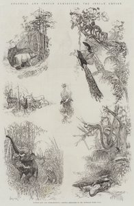 Exposition coloniale et indienne, l